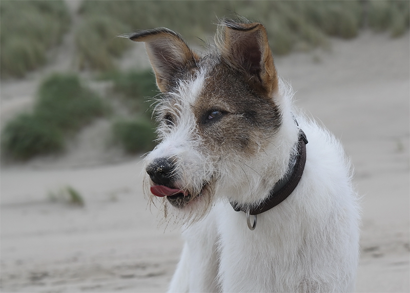 001 Felix Holland 6 - 2013 _SAM_2192 als Smart-Objekt-1 Kopie.jpg